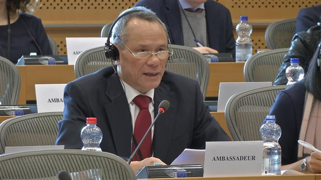 European Parliament urges acceleration of signing of EVFTA ảnh 1 European Parliament urges acceleration of signing of EVFTA ảnh 1