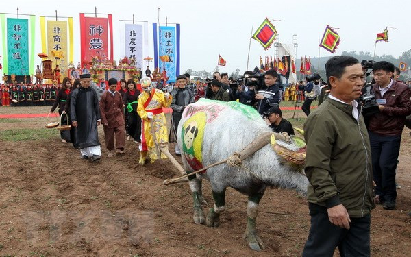 Annual ploughing festival opens in Ha Nam province ảnh 1 Annual ploughing festival opens in Ha Nam province ảnh 1