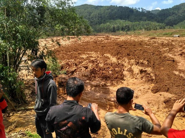 Indonesia landslide leaves at least 5 dead, 15 missing ảnh 1