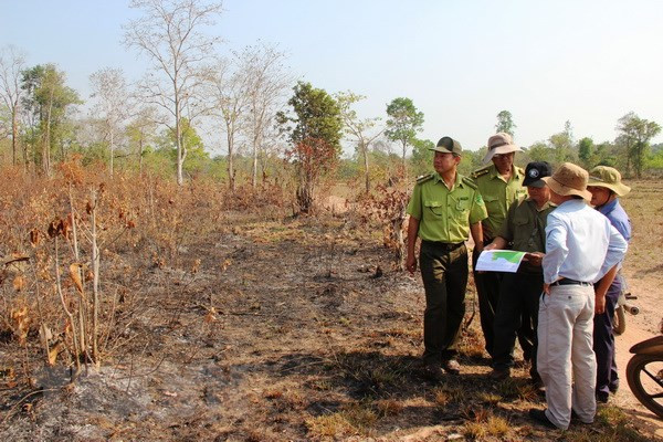 Binh Thuan faces high risk of forest fires ảnh 1 Binh Thuan faces high risk of forest fires ảnh 1