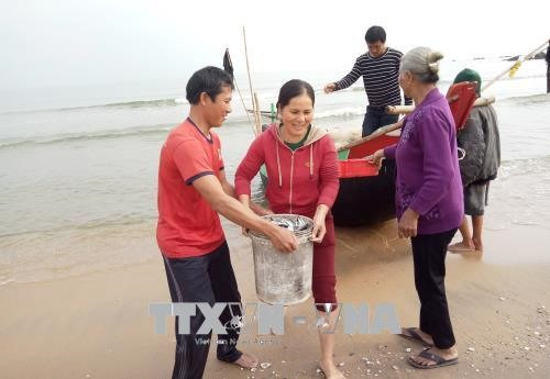 Bumper catches make Tet doubly sweet for fishermen ảnh 1 Bumper catches make Tet doubly sweet for fishermen ảnh 1