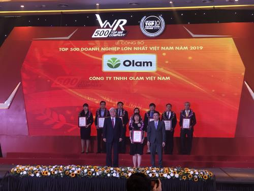 Vietnam’s top 500 largest enterprises in 2019 announced ảnh 1