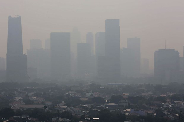 Indonesia ranks fourth in pollution-related deaths ảnh 1