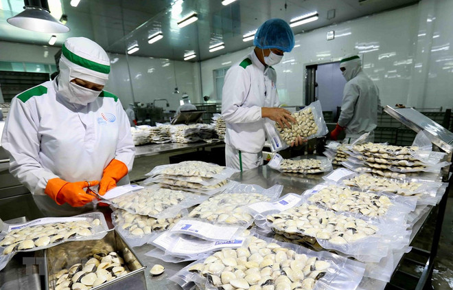 Export of main agricultural products down 5.3 percent in 2019 ảnh 1 Export of main agricultural products down 5.3 percent in 2019 ảnh 1