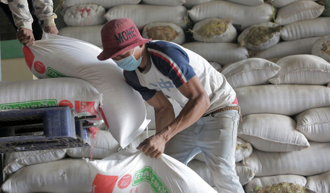 Cambodia exports 7 million tonnes of farm produce in 2019 ảnh 1 Cambodia exports 7 million tonnes of farm produce in 2019 ảnh 1