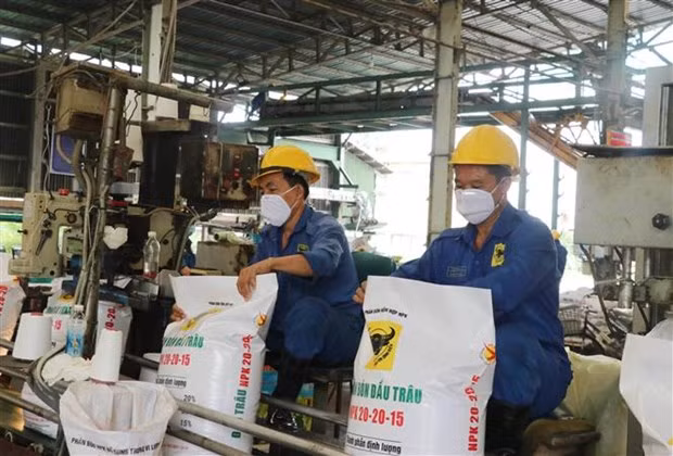 Russia-Ukraine conflict forces Vietnam to look for alternative fertiliser suppliers ảnh 1