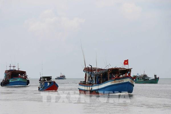 Ba Ria-Vung Tau increases inspections to fight IUU fishing ảnh 1