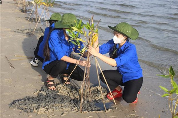 UNDP helps Vietnam strengthen women’s resilience to climate change ảnh 1 UNDP helps Vietnam strengthen women’s resilience to climate change ảnh 1