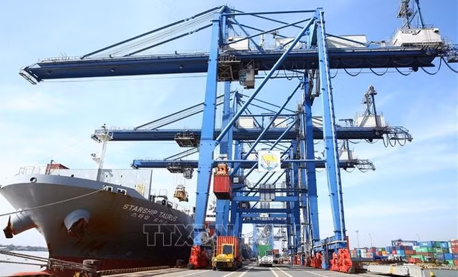 Workshop seeks consultation on priorities in national export strategy ảnh 1