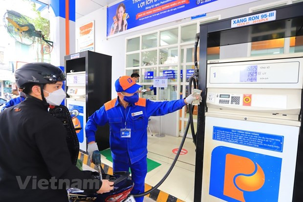Petrol prices up nearly 3,000 VND per litre ảnh 1