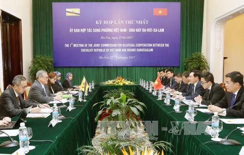 Vietnam-Brunei joint commission’s meeting hailed ảnh 1