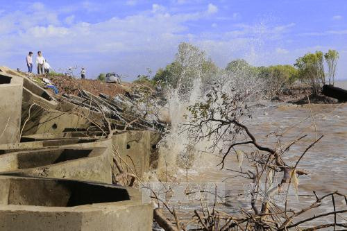 Tien Giang reinforces Go Cong sea dike to protect farm land ảnh 1