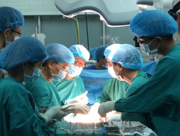 66 liver transplants performed at Vietnamese hospitals ảnh 1 66 liver transplants performed at Vietnamese hospitals ảnh 1