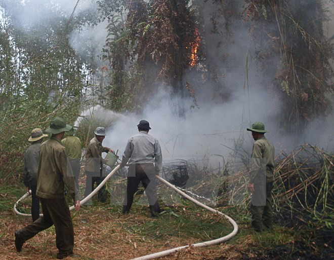 Central Highlands region works to prevent dry-season forest fire ảnh 1