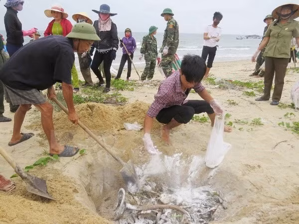 Bodies, individuals responsible for Formosa incident made public ảnh 1