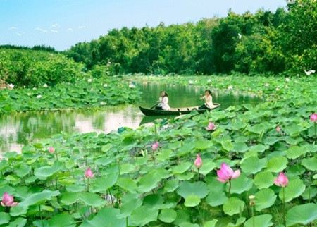 Lang Sen Wetland Reserve becomes Vietnam’s 7th Ramsar site ảnh 1
