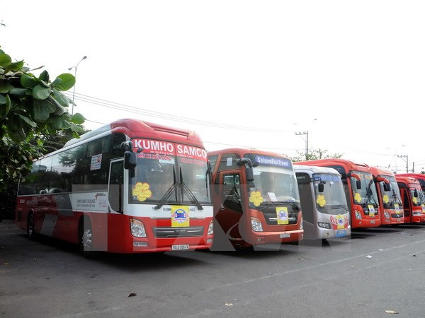 Coach routes connecting Vietnam to Thailand under discussion ảnh 1