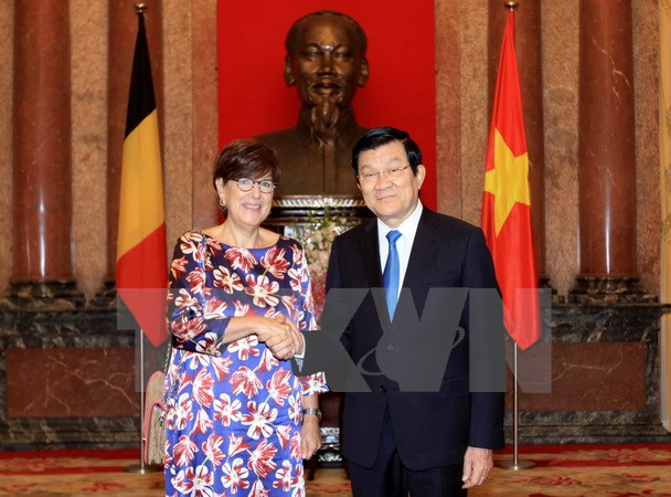 President meets newly-appointed ambassadors ảnh 1
