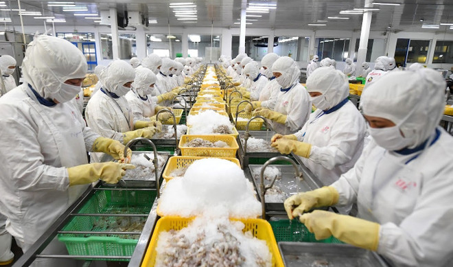 Number of firms resuming operations increases threefold in June ảnh 1