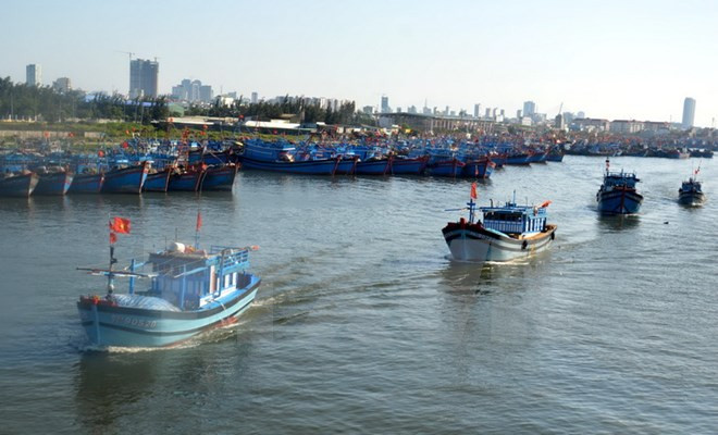Offshore fishing households await insurance benefits ảnh 1 Offshore fishing households await insurance benefits ảnh 1