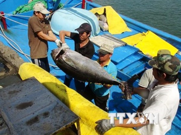Agro-forestry-fishery exports hit 17.1 billion USD in six months ảnh 1 Agro-forestry-fishery exports hit 17.1 billion USD in six months ảnh 1