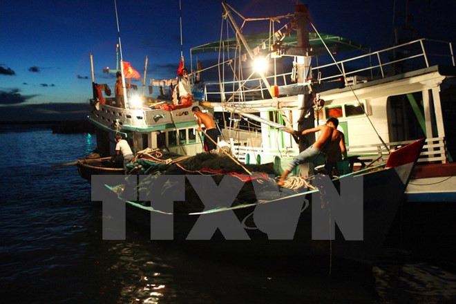Kien Giang develops fisheries exploitation ảnh 1