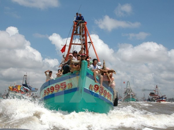 Bac Lieu fishermen enjoy good catches ảnh 1
