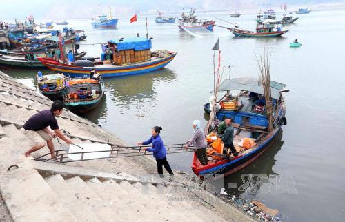 Ha Tinh to complete marine environment incident compensation in June ảnh 1