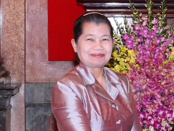 Vietnam supports peace building in Cambodia: senior official ảnh 1 Vietnam supports peace building in Cambodia: senior official ảnh 1