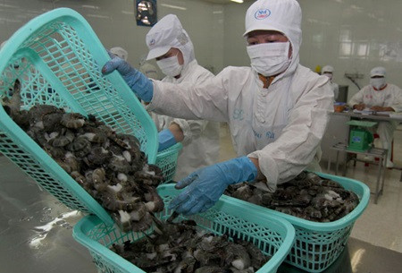 Dried fish, shrimp producers in Mekong fall short of Tet demand ảnh 1 Dried fish, shrimp producers in Mekong fall short of Tet demand ảnh 1