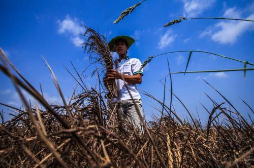 More support given to bring water to drought-hit residents ảnh 1