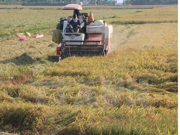 Thousands of Khmer households escape from poverty ảnh 1 Thousands of Khmer households escape from poverty ảnh 1