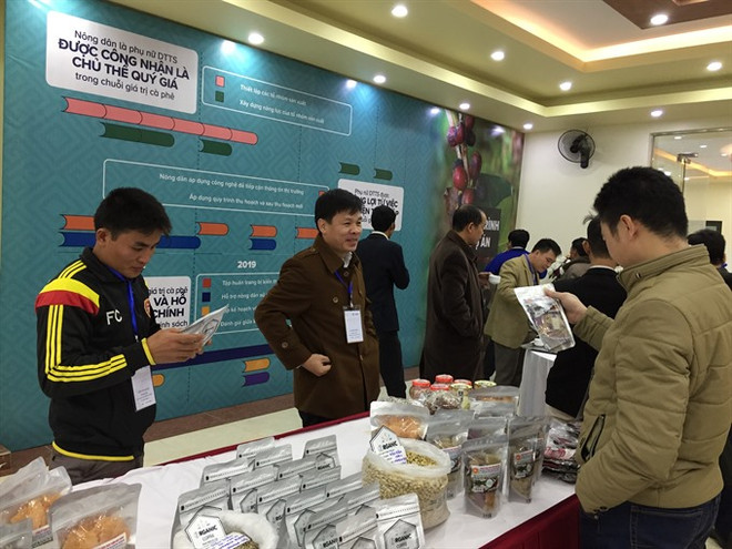 Small-scale coffee farmers get helping hand ảnh 1 Small-scale coffee farmers get helping hand ảnh 1