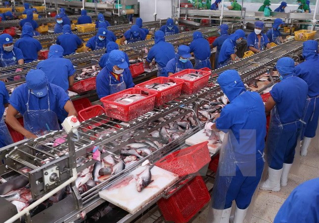 Aquatic export expected to hit 9 billion USD in 2018 ảnh 1