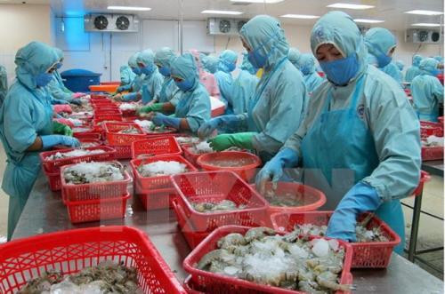 White Book on IUU fishing in Vietnam announced ảnh 1 White Book on IUU fishing in Vietnam announced ảnh 1