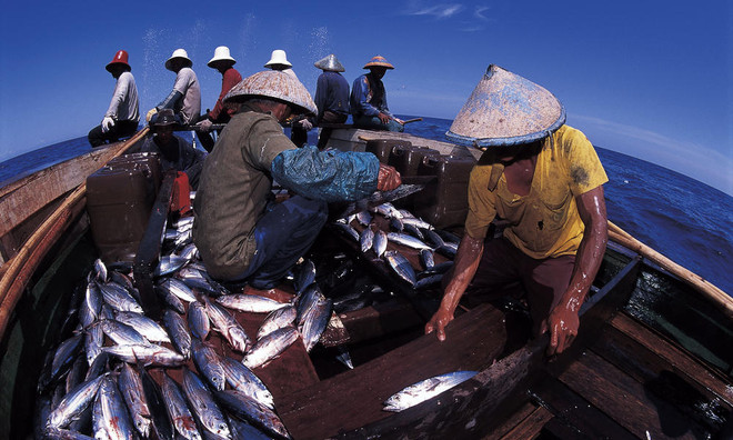 Indonesia to increase investment in maritime, aquatic sectors ảnh 1