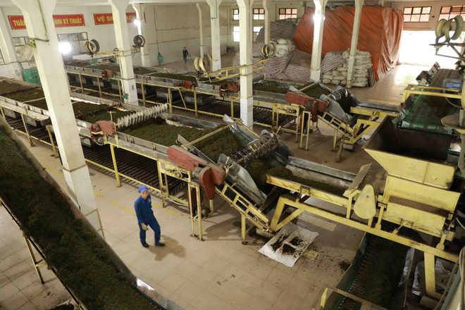 Exports still up in first nine months despite pandemic: GSO ảnh 1 Exports still up in first nine months despite pandemic: GSO ảnh 1