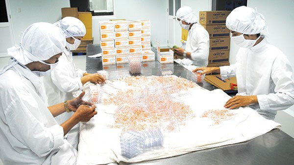 Support for domestic pharmaceutical industry to rise in Vietnam ảnh 1 Support for domestic pharmaceutical industry to rise in Vietnam ảnh 1