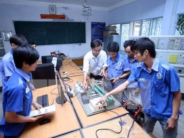 Project to orient occupational education to green growth demand ảnh 1