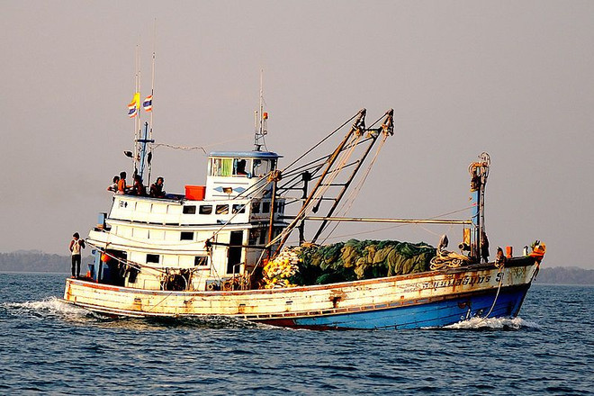  Thai gov’t vows to continue illegal fishing fight ảnh 1
