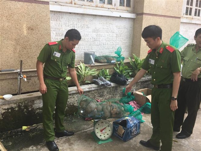 Wildlife transport discovered in Binh Duong ảnh 1 Wildlife transport discovered in Binh Duong ảnh 1