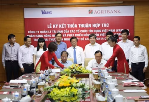 Agribank, VAMC coordinate in settling bad debts ảnh 1