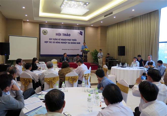 Dutch organisation aids agricultural cooperatives in Quang Nam ảnh 1