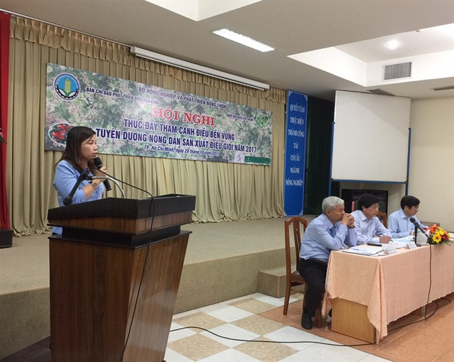 Cashew industry faces volatile weather, pests ảnh 1