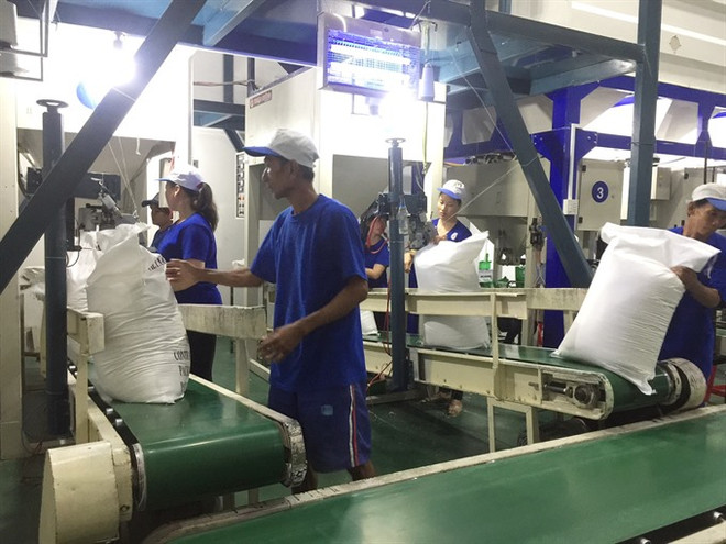 Vietnam rice exports notch volatile in Q1 ảnh 1