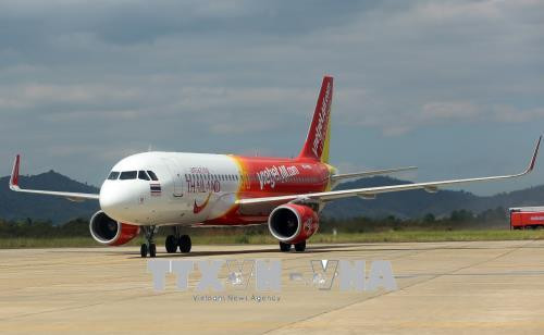 Seven flights cancelled due to bird strike during holiday ảnh 1