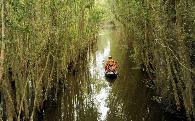 Int’l seminar talks Mekong Delta’s tourism vision ảnh 1 Int’l seminar talks Mekong Delta’s tourism vision ảnh 1