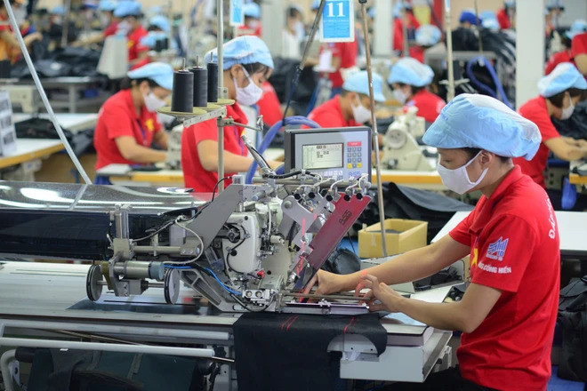 Vietnamese garment, textile companies struggle for market share ảnh 1 Vietnamese garment, textile companies struggle for market share ảnh 1