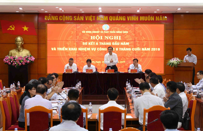 Agriculture sector posts 2.39 percent in first half of 2019 ảnh 1