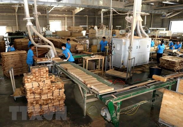 Promoting socially responsible practices in wood, seafood processing ảnh 1 Promoting socially responsible practices in wood, seafood processing ảnh 1
